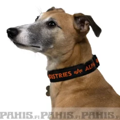 AI Dog-Tag-koiran kaulapanta