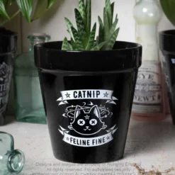 Alchemy Catnip - Kukkaruukku
