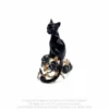 Alchemy Cat Skull - Mini koriste esine