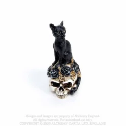 Alchemy Cat Skull - Mini koriste esine