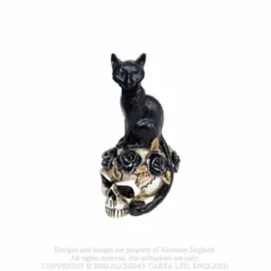 Alchemy Cat Skull - Mini koriste esine