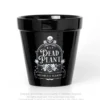 Alchemy Dead Plant - Kukkaruukku