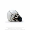 Alchemy Gothic Alchemist Skull - Mini koriste esine