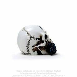 Alchemy Gothic Alchemist Skull - Mini koriste esine
