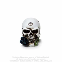 Alchemy Gothic Alchemist Skull - Mini koriste esine