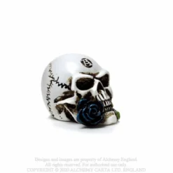 Alchemy Gothic Alchemist Skull - Mini koriste esine