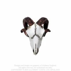 Alchemy Gothic Rams Skull - Mini koriste esine