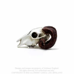 Alchemy Gothic Rams Skull - Mini koriste esine