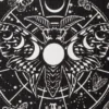Alchemy Lunar Moth - Matto