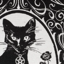 Alchemy Paracelsus The Philosopher's Familiar - Matto
