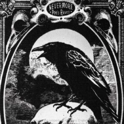 Alchemy Poe's Raven - Matto
