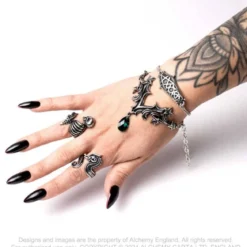 Alchemy Resurrected - Sormus