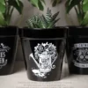 Alchemy Wet your plants - Kukkaruukku