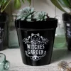 Alchemy Witches Garden - Kukkaruukku