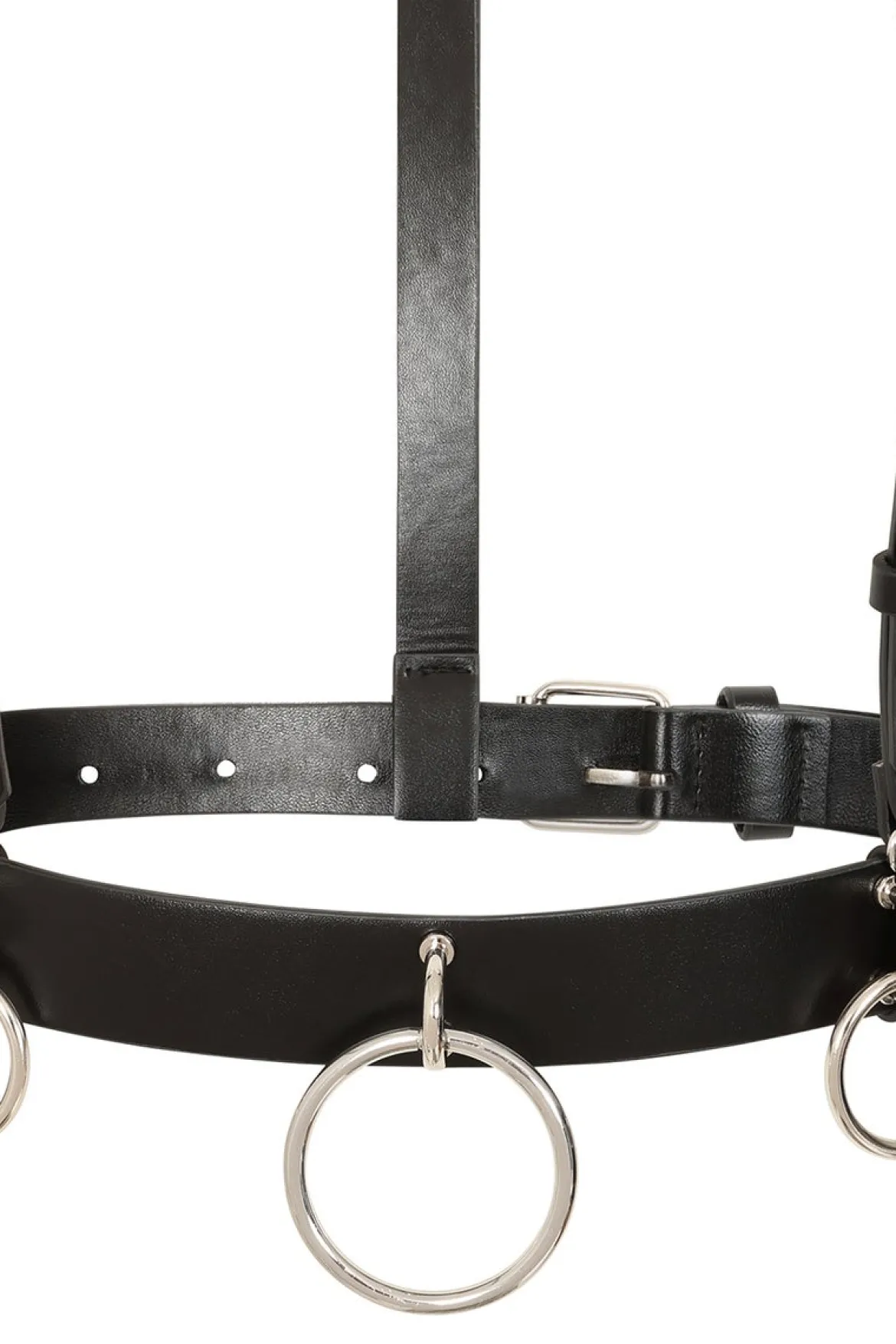 Banned Dominion - Harness