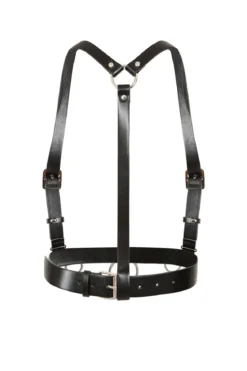 Banned Dominion - Harness