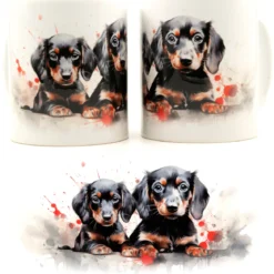 Black Dachshund puppies-Muki