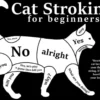Cat Stroking For Beginners - Pieni peltikyltti