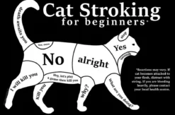 Cat Stroking For Beginners - Pieni peltikyltti