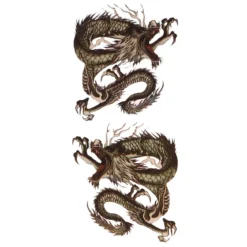 Chinese Dragon - siirtotatuointi