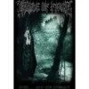 Cradle of filth 'Dusk and her embrace'- Seinälippu