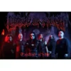 Cradle of filth 'Existence Is Futile'- Seinälippu