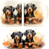 Dachshund Puppies IV -Muki