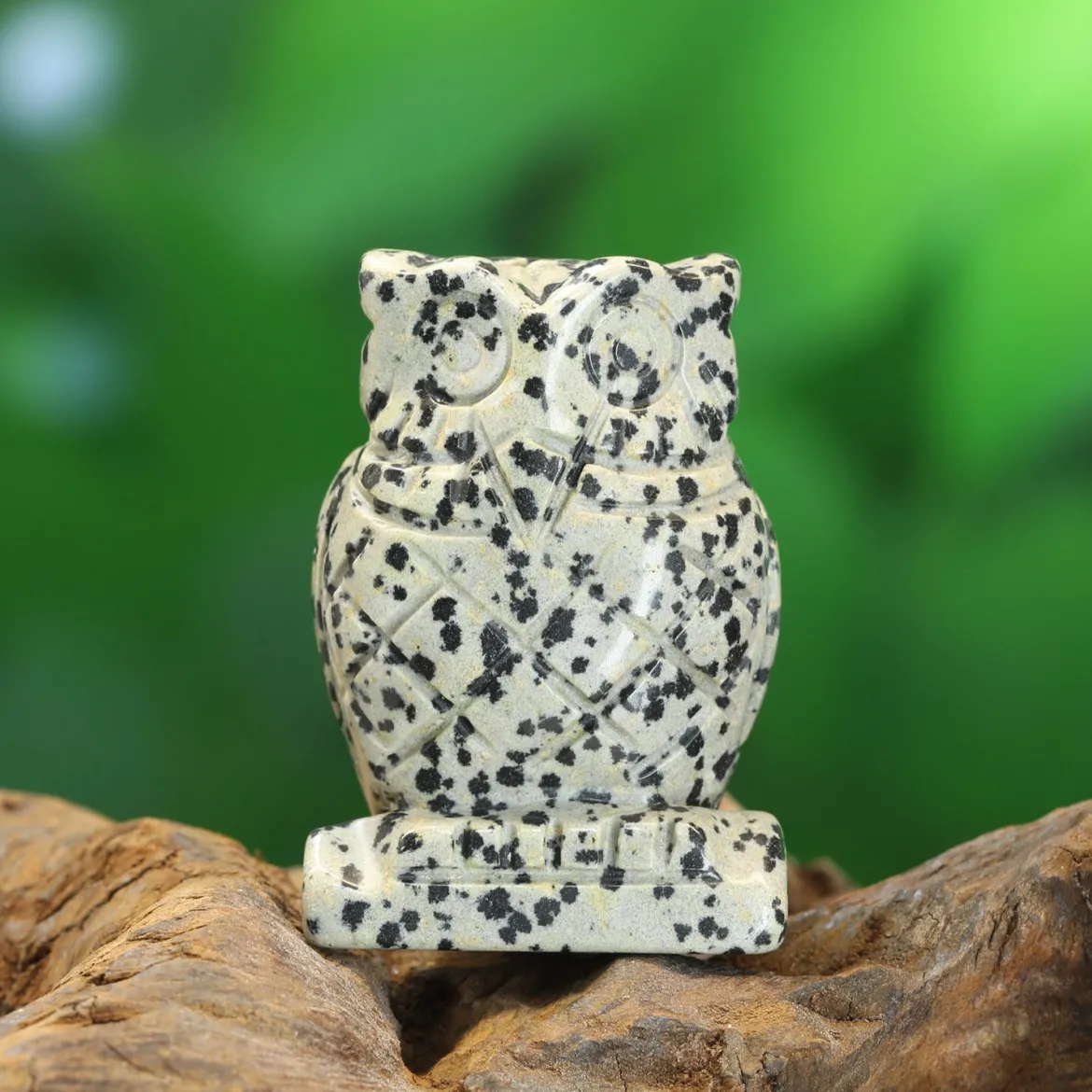 Dalmatian-jaspis - Pöllö, 5cm