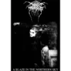 Darkthrone: A Blaze in the northern sky - Seinälippu