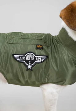 Dog MA-1 Jacket- koiran takki