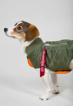 Dog MA-1 Jacket- koiran takki