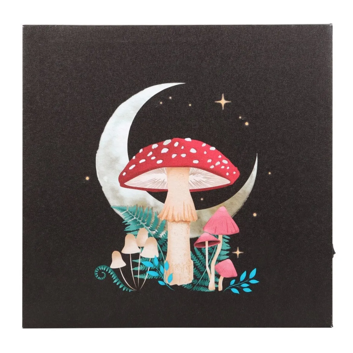 Forest Mushroom - Valotaulu