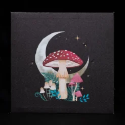 Forest Mushroom - Valotaulu