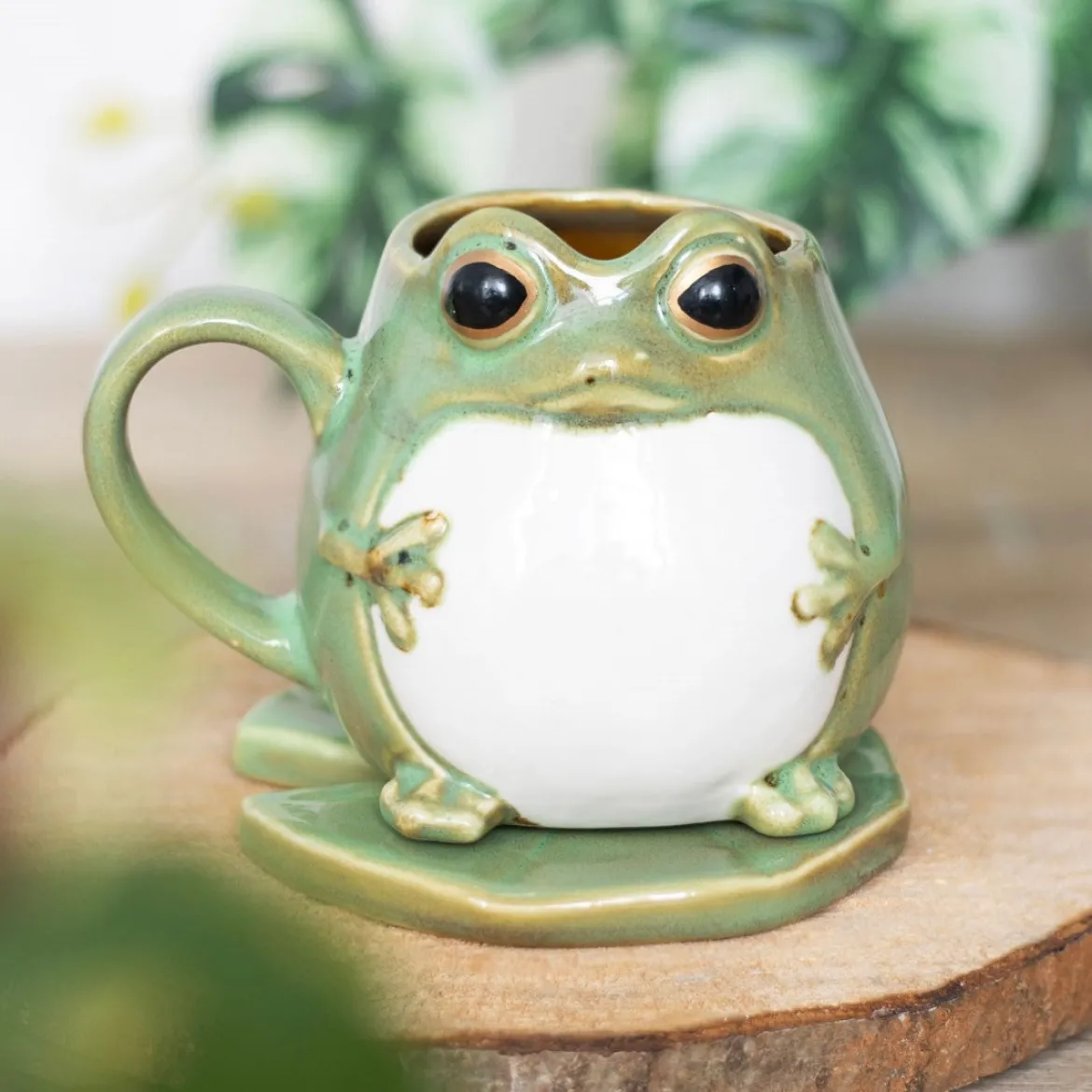 Frog and lily pad - Muki