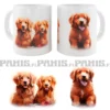 Golden Retrievers VIII -Muki