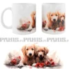 Golden Retrievers VII -Muki