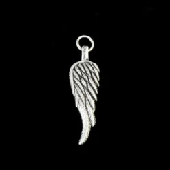 Guardian Wing - Riipus