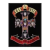 Guns N' Roses: Appetite - Kangasmerkki