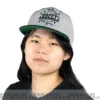 Happy Asshole Flexfit classic snapback 3-Tone - lippis, h.grey/black/green