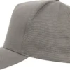 Happy Asshole Flexfit 5-panel curved classic - lippis, grey