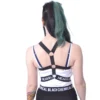 Heartless Pentagram logo - Harness