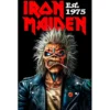 Iron Maiden Est. 1975 - Seinälippu