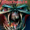 Iron Maiden The final frontier- Lasinalunen
