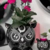 Killstar Owl - kukkaruukku