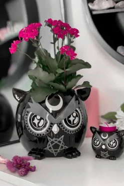 Killstar Owl - kukkaruukku