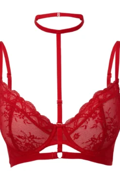 Killstar Sheer Evil - Rintaliivit, scarlet