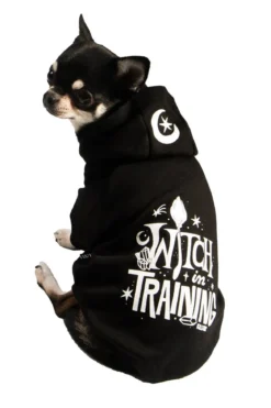 Killstar Witch In Training - Lemmikin huppari