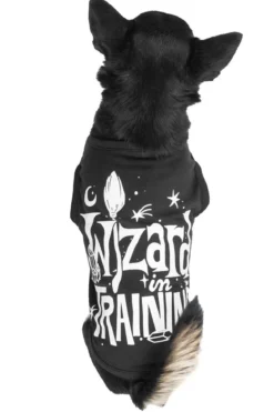 Killstar Wizard in training - Koiran paita