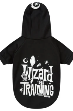 Killstar Wizard In Training - Lemmikin huppari