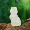 Kirkas kvartsi - Koira 5 cm